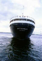 Stern
